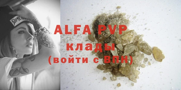 стаф Вяземский