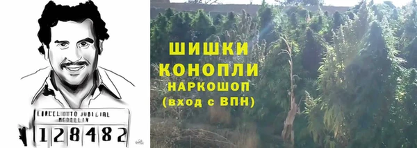 стаф Вяземский