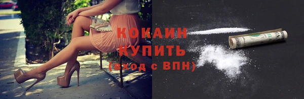 стаф Вяземский