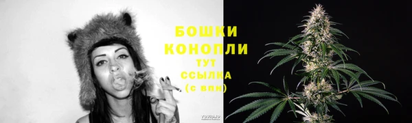 стаф Вяземский