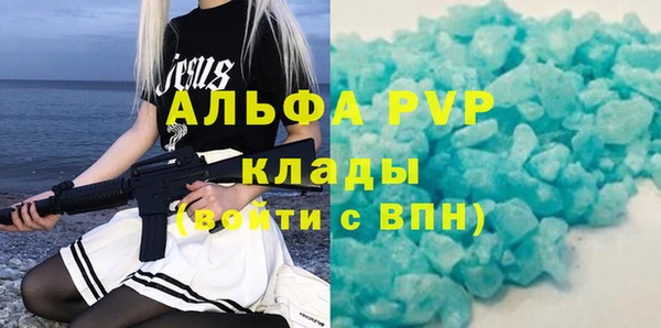 стаф Вяземский