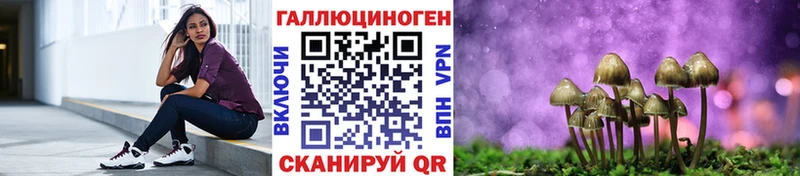 Псилоцибиновые грибы мицелий  Купить где  Находка 