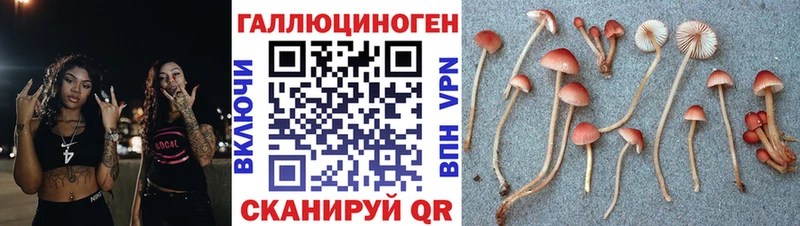 Галлюциногенные грибы прущие грибы Находка